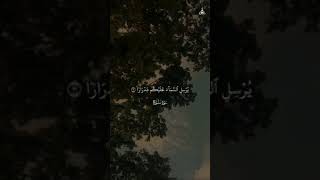 ٢٢ أكتوبر ٢٠٢٤ [upl. by Ahsyekat476]