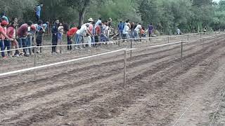 Carreras ðŸ‡ ðŸ‡ cuadreras Catalina vs Soy Bonita [upl. by Alleuqahs]