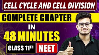 CELL CYCLE and CELL DIVISION in 48 Minutes  Full Chapter Revision  Class 11 NEET [upl. by Ailadi]