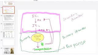 14 Classifying Endocrine Pathologies [upl. by Verbenia]