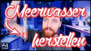 Meerwasser richtig herstellen für Aquarium  AquaOwner [upl. by Morey825]