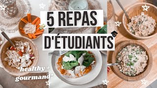 5 idées de plats pour étudiants 80  Facile pas cher et rapide [upl. by Aiuqes767]