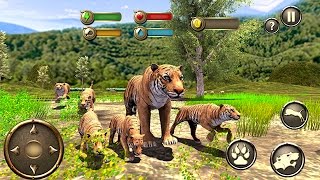 Wild Tiger Survival Simulator by Vital Games Production Android Gameplay HD [upl. by Quillan816]