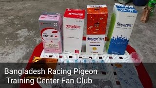 Racing pigeon training Pigeon treatments [upl. by Raychel]