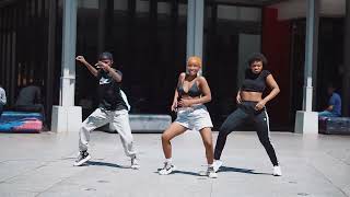 Abo Mvelo Dance Video [upl. by Afesoj335]