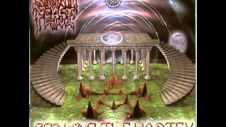 Sabbatic Feast  Scaling The Vortex 1999 Full Album LTFB Records [upl. by Trah]