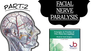 Mastering Facial Nerve Anatomy Understanding Paralysis and Pathology [upl. by Grania]