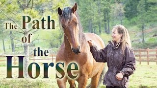 The Path of the Horse  Full Length documentary [upl. by Elinad]