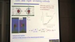 Electrically Driven Dynamics of Small Particles in Liquid Crystals [upl. by Kciredorb]