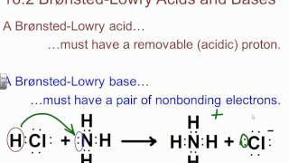 BBrown AP Chapter 161163 Notes [upl. by David]