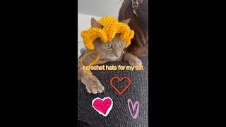 Easy Crochet Hats for cats edgeartcrochet crochethat petshorts catshorts [upl. by Fredie]