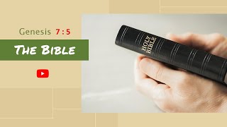 Online Bible Study in English  Learn Bible Verse Genesis 75 thebiblelearnwords TheBible707 [upl. by Llywellyn108]