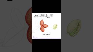 نظرية الفستق ملخصكتاب التنميةالداتية [upl. by Ail609]