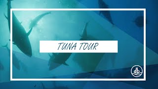 Tuna Tour Experience [upl. by Ellac]