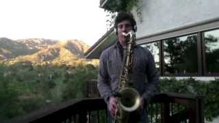 Titanium SiaGuetta Sax Cover [upl. by Edmea]