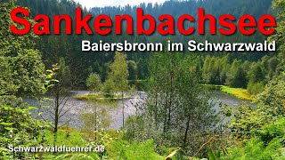 Sankenbachsee bei Baiersbronn [upl. by Eceeryt]