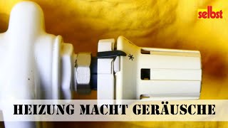 Heizung macht Geräusche [upl. by Wilde]