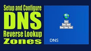 PTR Record  DNS Basics [upl. by Eat688]