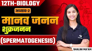 Spermatogenesis L4  Human Reproduction  Class 12thNEET Biology by Shalini Maam  Hindi Medium [upl. by Krongold784]