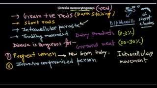 Listeria monocytogenes introduction [upl. by Syxela947]