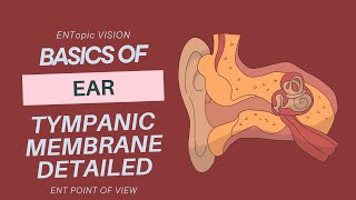 Tympanic Membrane in Detail  External Ear  ENT  ENTopic Vision [upl. by Hepsibah573]