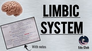 The Limbic System  Amygdala  Hippocampus  Papez and amygdala circuit [upl. by Imef]