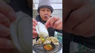 asmr eating raw oysters mukbang [upl. by Nauqal]