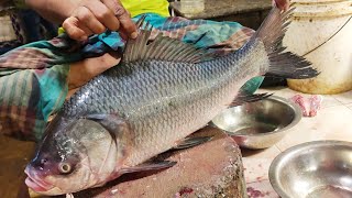 Giant Catla Carp Fish Cutting amp Chopping By Great Fire Fish Cutting Bangladesh [upl. by Ikkir]