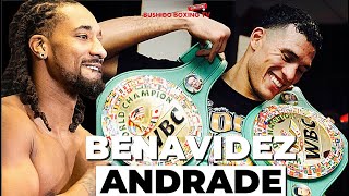 Demetrius Andrade Finally To Get A Big Name Fight With David Benavidez [upl. by Piks587]