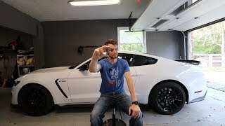 All Ford Mustang GT350s Need This 20 Modification [upl. by Ayekram]