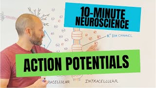 10Minute Neuroscience Action Potentials [upl. by Caldeira]