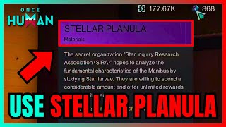 How To Use STELLAR PLANULA In Once Human QUICK GUIDE [upl. by Simaj631]