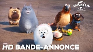 Comme Des Bêtes  Bandeannonce officielle 2 VOST Au cinéma le 27 juillet 2016 [upl. by Mathian67]