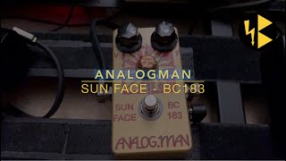 Analogman  Sun Face BC183 First Impressions  Dialing It In [upl. by Aicital]