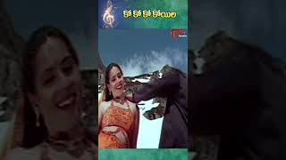 Ko Ko Ko Song  Cheppalani Vundi Movie  Vadde Naveen amp Raasi shorts youtubeshorts [upl. by Geesey]