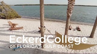 Day in the life of an Eckerd student [upl. by Caines]