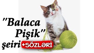 Balaca pisik 🐈 Pisik seiri [upl. by Eelnayr969]