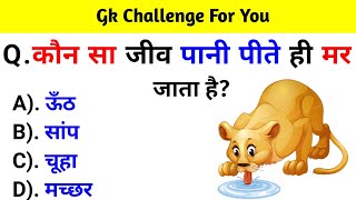 Gk Questions  Gk In Hindi  Gk ke sawal jawab  General Knowledge  Gk Quiz [upl. by Hernandez353]