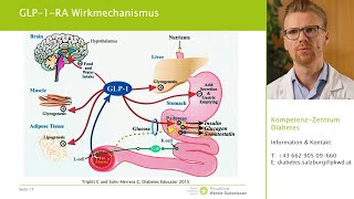 Diabetes Paradigmenwechsel durch neue Antidiabetika [upl. by Profant115]