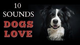 10 Sounds Dogs Love To Hear The Most [upl. by Ahsenad]