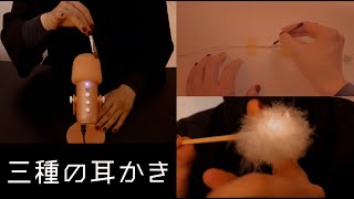 【ASMR】【イヤホンマイク】【画面に直接】三種の耳かき牛丼 [upl. by Holmun]