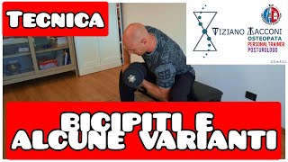 Bicipiti  tecnica di esecuzione e alcune varianti [upl. by Rosemary]