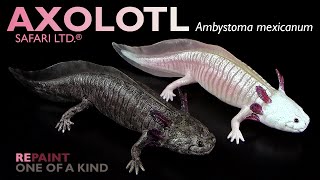 Safari Ltd ® Axolotl Ambystoma mexicanum 2024 Repaint amp Review [upl. by Salli]