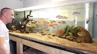 8 FOOT LONG AQUARIUM IS DONE again  The King of DIY [upl. by Ichabod]