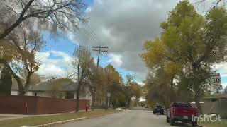 Fall colors in Winnipeg city canada winnipeg fallcolors winnipeglife [upl. by Attelahs]