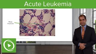 Acute Leukemia Etiology amp Subtypes – Pathology  Lecturio [upl. by Matland46]