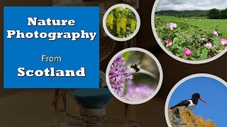 Scotland  Nature Photography Discovering lanscapes wildlife plants [upl. by Chafee]