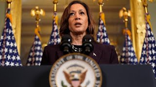 Virginia man charged with threatening to kill Vice President Harris [upl. by Cave]