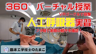 360°授業体験～人工呼吸器にブタ肺を接続（臨床工学技士のたまご） [upl. by Niwri860]