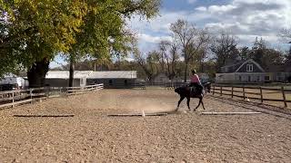 ODWA Turkey Trot Show 24449 Entry 4564 Western Dressage Into 3 [upl. by Elfrida]